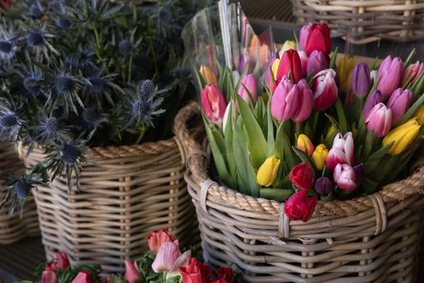 Košík Plný Barevných Tulipánových Kytic Květinářství Jaře Vodorovně — Stock fotografie