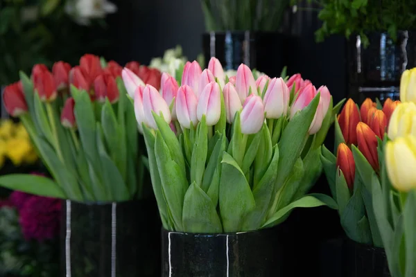 stock image Beautiful fresh cut pink tulips at the flower garden shop in spring. Horizontal. Selective focus. Close-up.