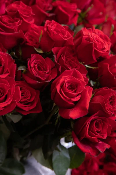 Variedade Rosas Vermelhas Cortadas Frescas Loja Jardim Flores Preparativos Para — Fotografia de Stock