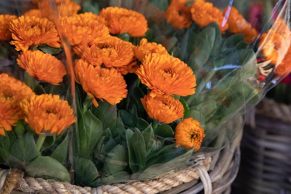 Fresh Cut Bright Bouquets Calendula Officinalis Orange Petals Blossom Pot — Fotografia de Stock
