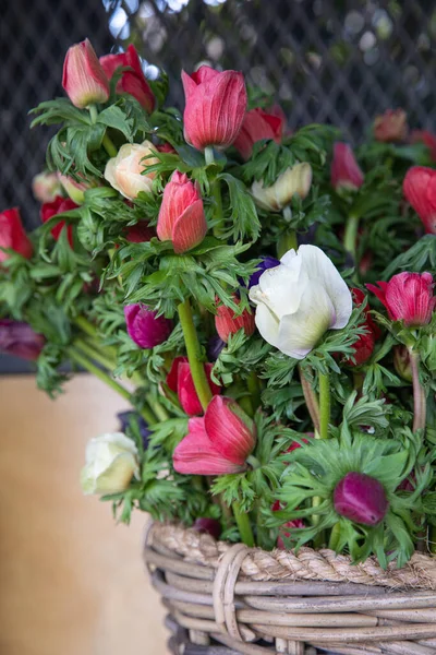 Fresh Cut Bright Bouquets Anemone Coronaria Poppy Anemone Windflower Greek — Stock Photo, Image