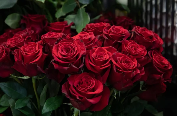 Variety Fresh Cut Red Roses Flower Garden Shop Preparations Valentines — стоковое фото