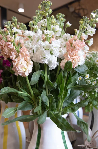 Fresh cut white Matthiola incana or stock flowers in vase. Vertical. Close-up.