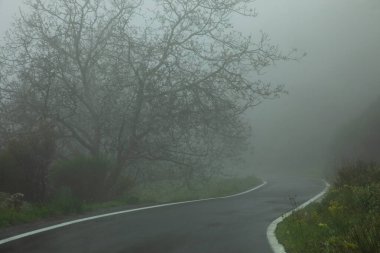 Şiddetli hava koşullarında, ilkbaharda sis ve yağmurla tehlikeli dağ yolu. Yatay.