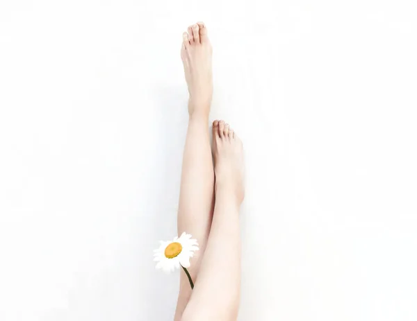 Cropped view of Beautiful female legs with camomile on white background, top view