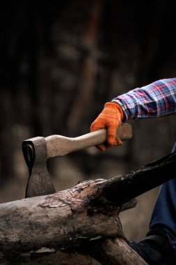 Adamın Eldivenli Eli Ormanda Düşen Kütüğe Baltayı Tutuyor