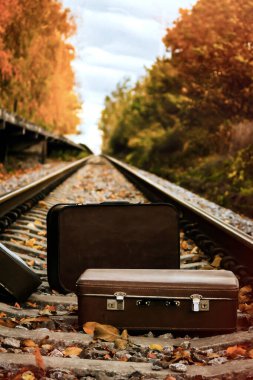 Sonbahar yapraklarıyla çevrili, demiryolu raylarında uzanan kahverengi antika bavullar, altın saat boyunca yumuşak doğal ışıklandırmayla yakalandılar..