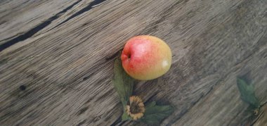 Kırmızı olgun elmayı kapat.