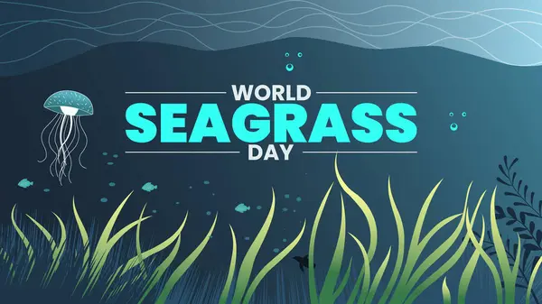 Okyanus Çayırlarını Korumak İçin Dünya Seagrass Günü