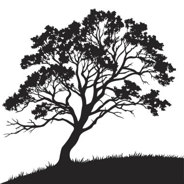 Tepede Çimenli Ağaç Silueti, Ayrıntılı Vektör Resimleri