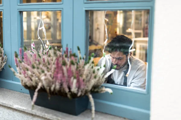 Küçük iş adamı dizüstü bilgisayarla çalışmaya geri döndü. Pencere camından ve çiçeklerden bak