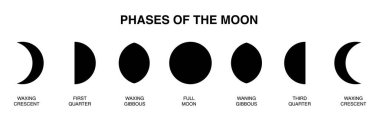 Ay şekilleri. Astronomi konsepti için ayın evreleri. Yeni aydan dolunaya kadar olan tüm döngü şeffaf bir arkaplanda izole edilmiş.