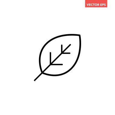 Siyah tek yaprak çizgi simgesi, basit doğal bitki element taslağı düz tasarım pictogram, uygulama logosu için infografik vektör ui ux arayüzü beyaz arkaplanda izole edildi