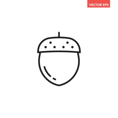 Siyah tek meşe palamudu çizgi simgesi, basit meşe tohumu element taslağı düz tasarım pictogram, uygulama logosu için infografik vektör ui ux arayüzü beyaz arkaplanda izole edildi