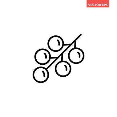 Siyah tek böğürtlen çizgisi simgesi, basit taze meyve yassı tasarımı pictogram, uygulama logosu için infografik vektör ui ux arayüzü elementleri beyaz arkaplanda izole edildi