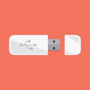 usb flash disk vektör çizimi