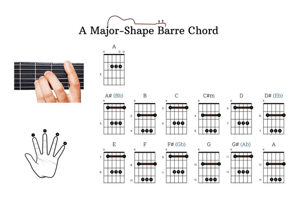 A guitar chord chart with A-major, E-major, E-minor, and A-minor-shaped barre chords for guitar beginners with finger position
