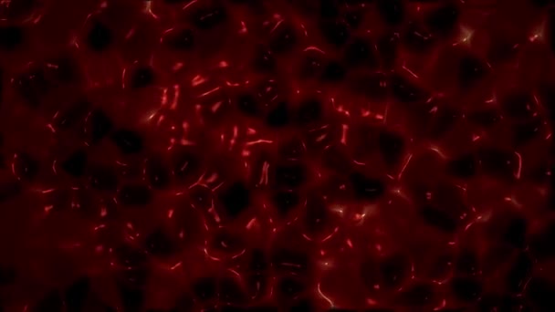 Blood Background Halloween Background Bloody Animation — Stock Video