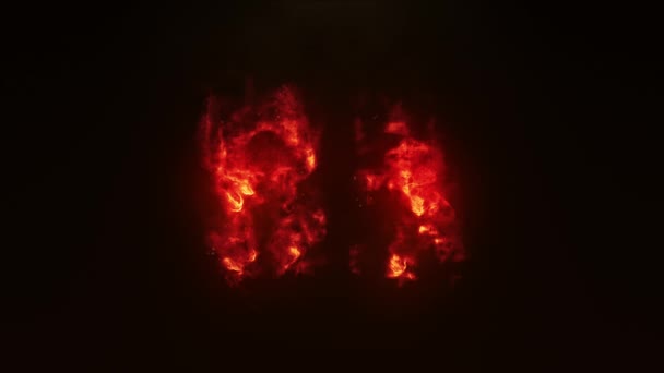 Płonący Numer Liczba Pożarów — Wideo stockowe