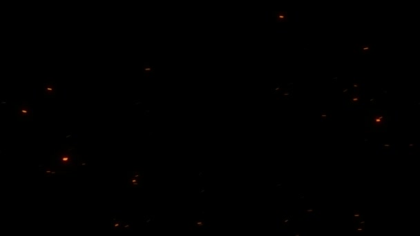 Big Fire Ember Ember Particles Velké Částice — Stock video