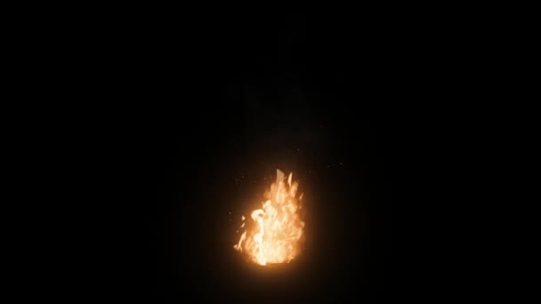 ファイアー キャンプファイア 燃えている火 火を燃やして フラミング — ストック動画