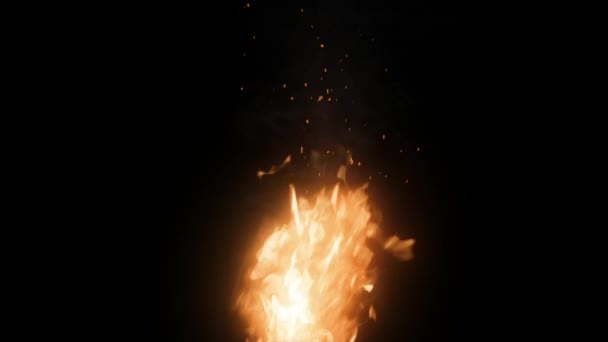 Pal Táborák Hořící Oheň Hořící Oheň Hořící — Stock video
