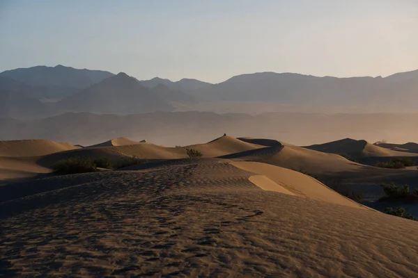 Αμμόλοφους Της Ερήμου Διαμερίσματα Mesquite Αμμόλοφους Ηνωμένες Πολιτείες Της Αμερικής — Φωτογραφία Αρχείου