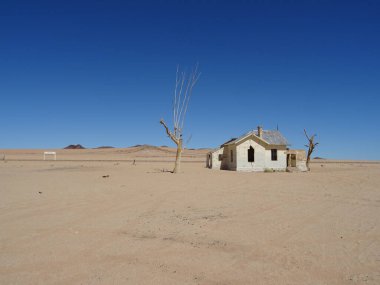 Namibya savanındaki bir kuşa yaklaş.