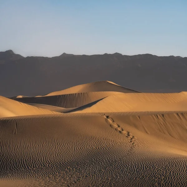 Дюни Долині Смерті Вранці — стокове фото