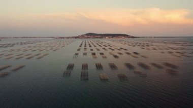 Fransa 'nın güneyindeki istiridye çiftliği yazın alacakaranlıkta, Ste arka planda. Güzel gökyüzü.