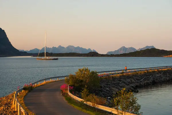 Henningsvaer yakınlarındaki yelkenli, Lofoten, Norveç, gece yarısı güneşi altında bir yolda yürüyen adam. Deniz ve dağlar, berrak günbatımı gökyüzü.