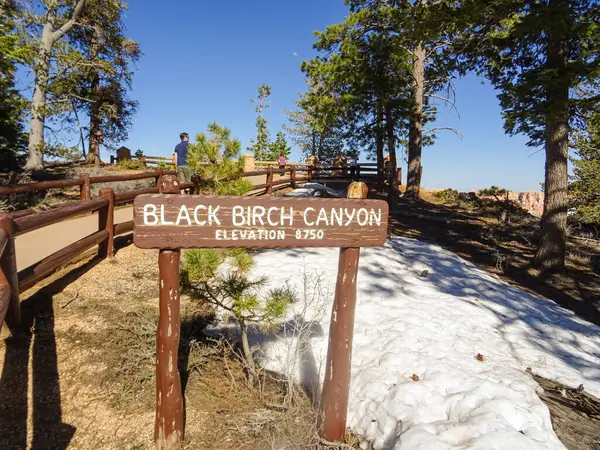 Black Birch Canyon Nézet Pont Jel Bryce Canyon Nemzeti Park Stock Kép