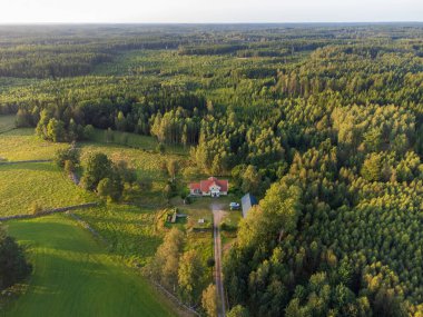 İsveç çiftlik evi orman ve çim tarlalarıyla çevrili, yaz sonu, akşam güneşi, uzun gölgeler.