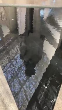 Ramses 2 'nin Büyük Mısır Müzesindeki heykeli.