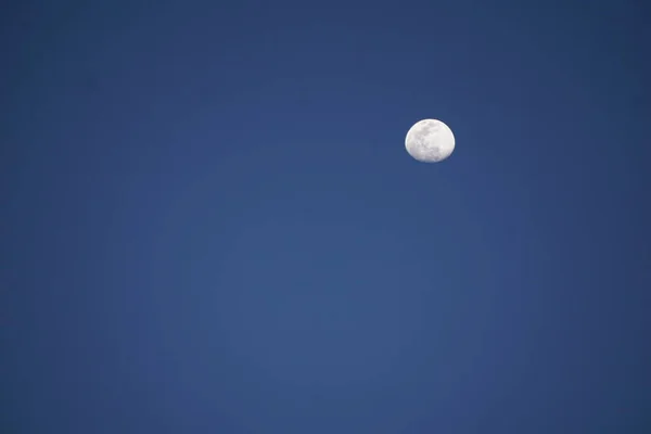 Prawie Pełnia Księżyca Portsaid — Zdjęcie stockowe