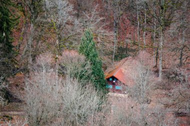 Dağlardaki ağaçlar ve kötü Urach tepeleri