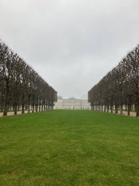 Paris 'te kış ağaçları