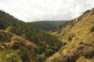 Kristal gibi berrak çağlayanlar kayalık araziler ve canlı yeşil ormanlar boyunca akar.