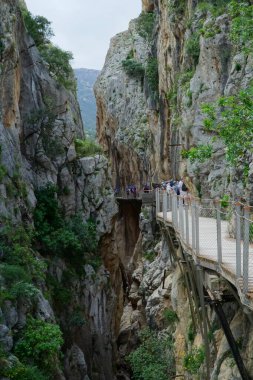 Meşhur El Caminito del Rey Malaga 'da ağaçlarla, dağlarla, nehirlerle ve bir vadiyle inanılmaz manzaraları var..