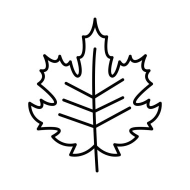 Autumn Üst Satır Simge Tasarımı 'ndan Çıktı