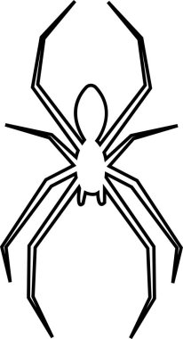 Cadılar Bayramı örümceğinin ağ vektörü. Beyaz arka planda siyah örümcek. Tehlike böceği. Korku afişi, korkunç poster. Örümcek ağı yalıtılmış dekorasyon malzemesi. Ekim tatili el ilanı modeli..