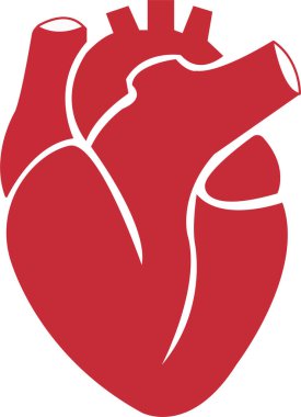 Beyaz şeffaf arkaplan üzerinde düz stil izole edilmiş vektör kalp ikonu Gerçekçi insan kalp vektörü çizimi.