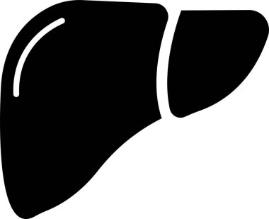 Gerçekçi karaciğer anatomisi yapısı. Vektör hepatik sistem organı, sindirim safra kesesi organı. Tıbbi uyuşturucular, eczane ve eğitim tasarımı için insan karaciğeri.