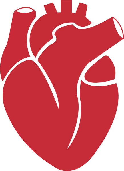 икона сердца в плоском стиле изолированный вектор на белом прозрачном фоне Реалистичный векторный рисунок сердца человека.