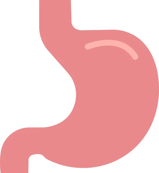 Estómago Humano Órgano Interno Anatomía Icono Plano Dibujos Animados Vectoriales — Vector de stock
