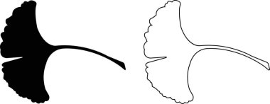 Çizgi film düz ve çizgi ginkgo biloba yaprağı siluet simgesi seti şeffaf arkaplanda izole edildi. Doğa kara vektör koleksiyonu. Broşür organik yapraklar kozmetik ve tıbbi bitki simgesi