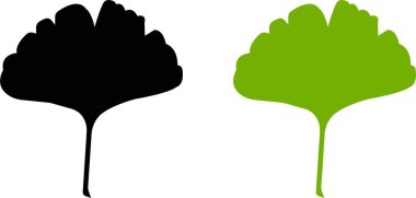 Çizgi film düz ginkgo biloba yaprak siluet simgesi seti şeffaf arkaplanda izole edildi. Doğa yeşil ve siyah vektör koleksiyonu. Broşür organik yapraklar kozmetik ve tıbbi bitki simgesi