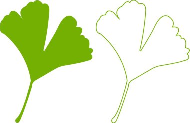 Çizgi film düz ve çizgi ginkgo biloba yaprağı siluet simgesi seti şeffaf arkaplanda izole edildi. Doğa yeşil vektör koleksiyonu. Broşür organik yapraklar kozmetik ve tıbbi bitki simgesi