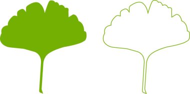 Çizgi film düz ve çizgi ginkgo biloba yaprağı siluet simgesi seti şeffaf arkaplanda izole edildi. Doğa yeşil vektör koleksiyonu. Broşür organik yapraklar kozmetik ve tıbbi bitki simgesi