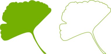 Çizgi film düz ve çizgi ginkgo biloba yaprağı siluet simgesi seti şeffaf arkaplanda izole edildi. Doğa yeşil vektör koleksiyonu. Broşür organik yapraklar kozmetik ve tıbbi bitki simgesi